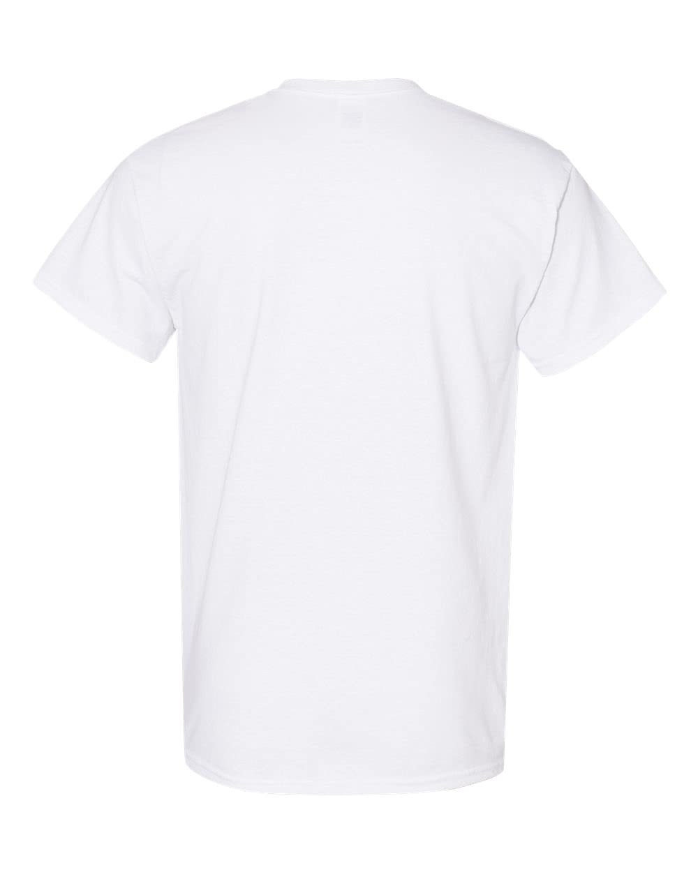 World and Space Adult Heavy Cotton T-Shirt, Style, Multipack, G5000
