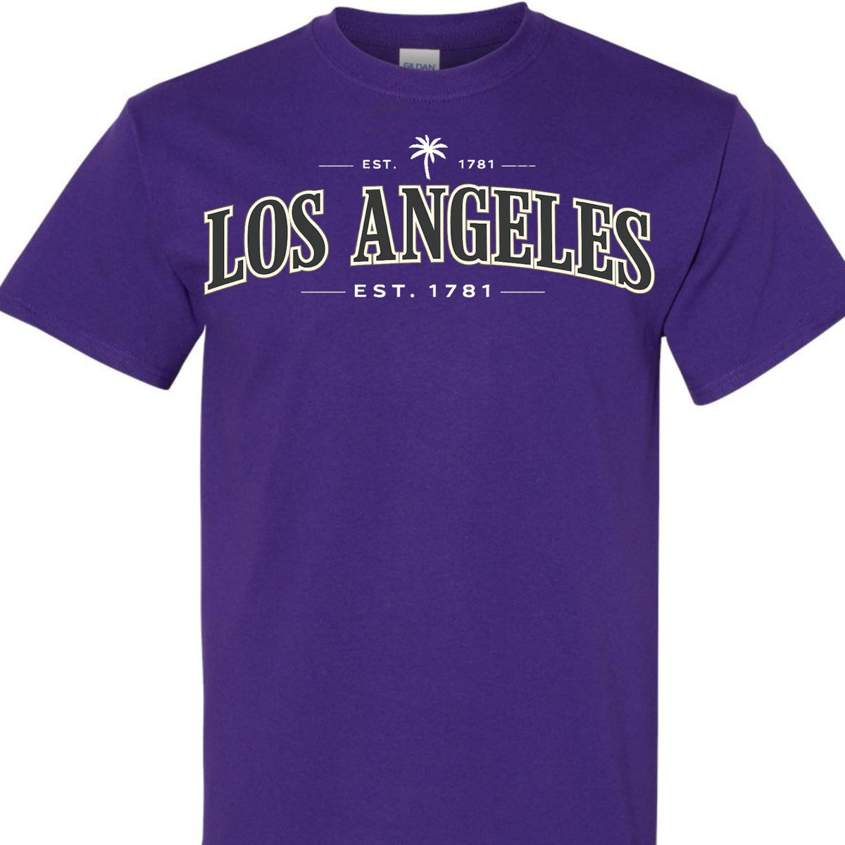 Los Angeles Vintage EST 1781 Graphic T-Shirt, Classic California LA Tee for Men, Women, and Teens