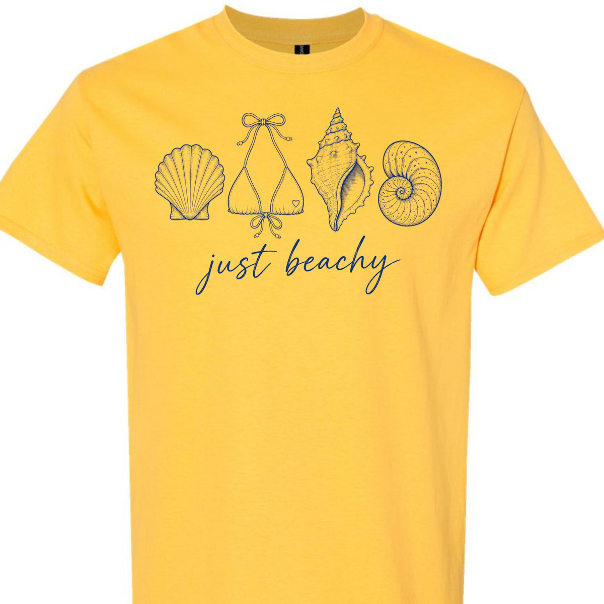 Just Beachy Graphic T-Shirt for Women, Coastal Summer Tee