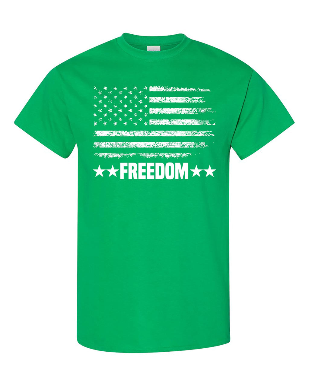Freedom Shirt, Casual Wear, Freedom Tshirt, Patriot Shirt, Freedom T-Shirt, Freedom tee
