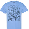 Women's Graphic T-Shirt, Casual Summer Beach Vacation Tee, Cute Coastal Top, Beachwear