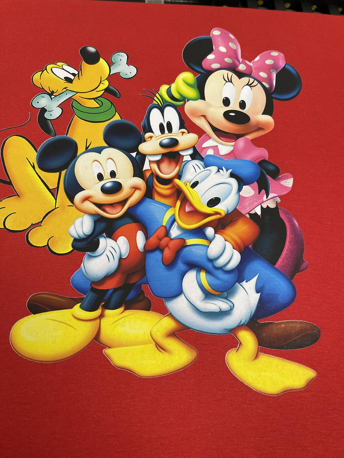 Family Trip Matching T-Shirt, Disney Trip T-Shirt, Mickey and Friend Shirt